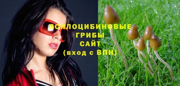 дурь Абаза